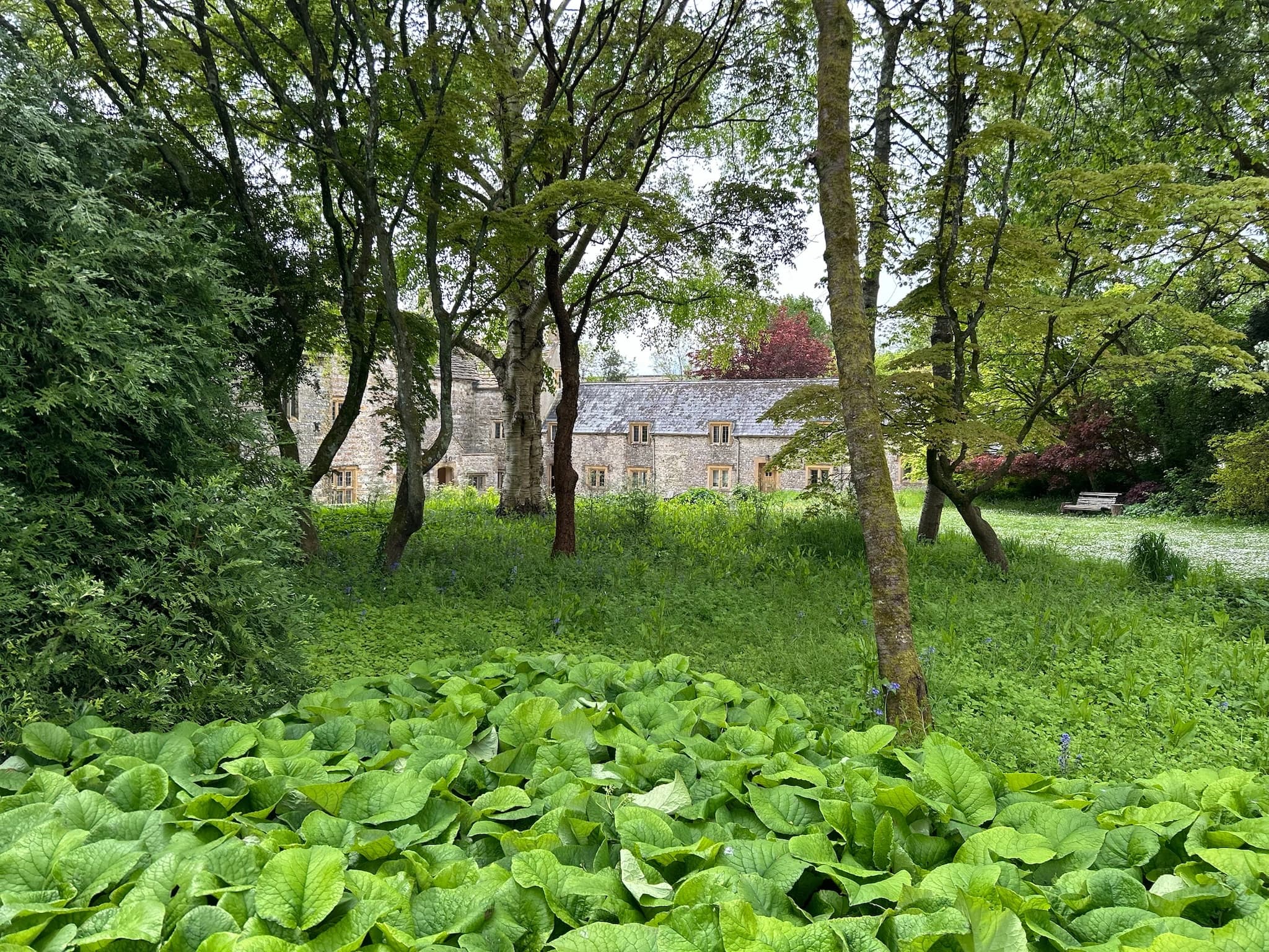 A wedding reception setting in the grounds of Cerne Abbey
