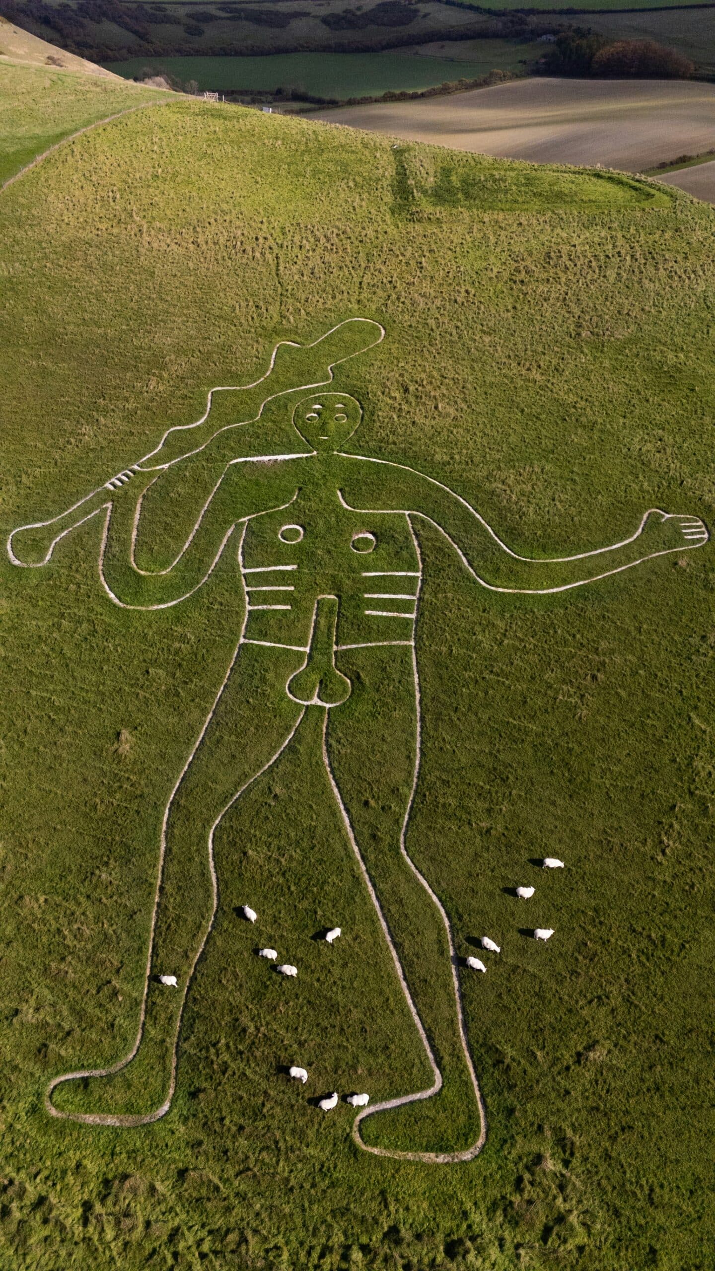 The Cerne Abbas Giant viewed from the hill