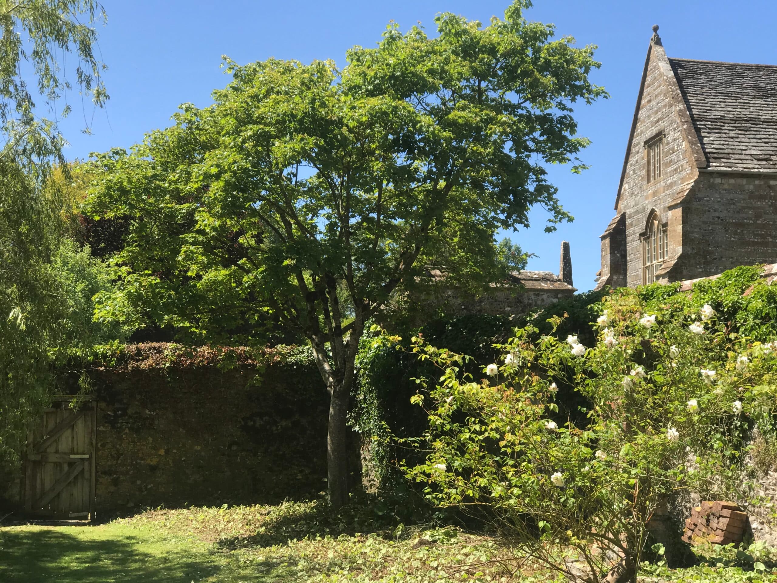 Medieval stonework and lawns for wedding photography at Cerne Abbey