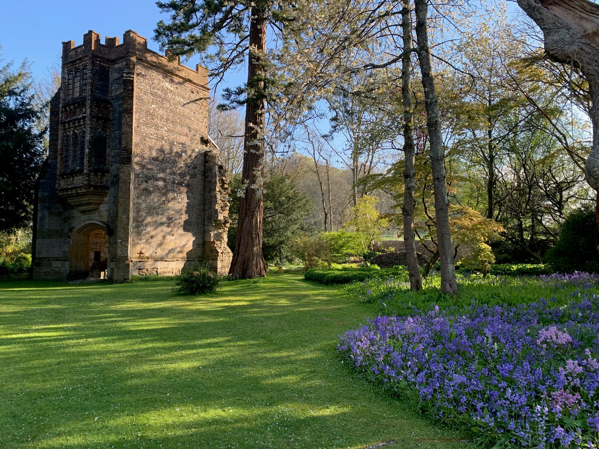 Space for a wedding reception in the grounds of Cerne Abbey